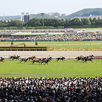 【秋華賞】2番人気ファインルージュは2着　ルメール　牝馬3冠全て異なる馬で2着は史上初