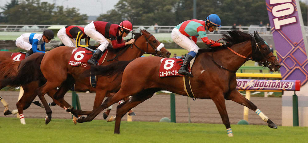 第68回 アイルランドトロフィー 府中牝馬ステークス