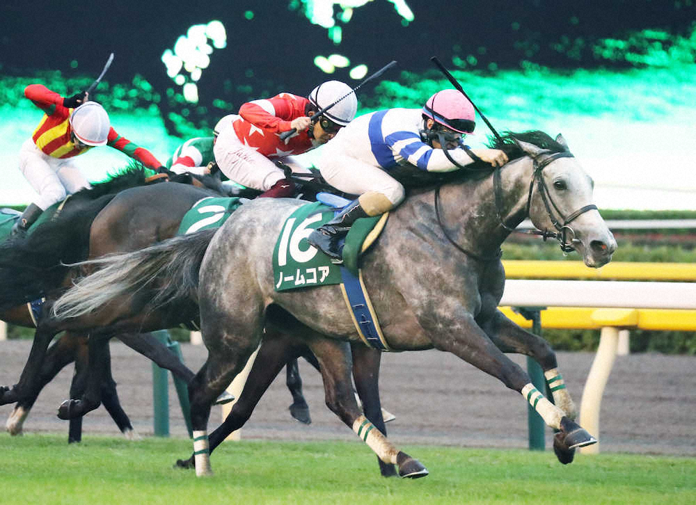 第23回 富士ステークス