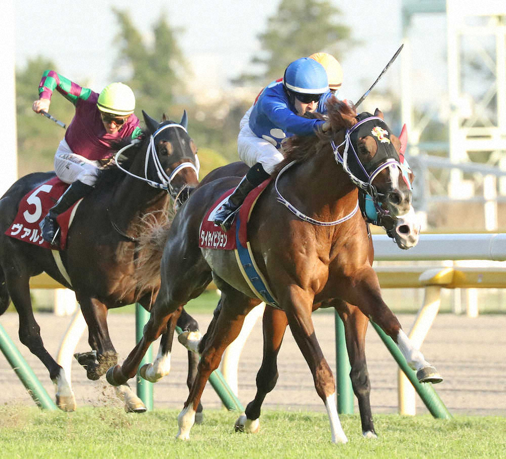 特集（2020年11月07日 東京11R 第56回京王杯2歳S） スポニチ競馬Web