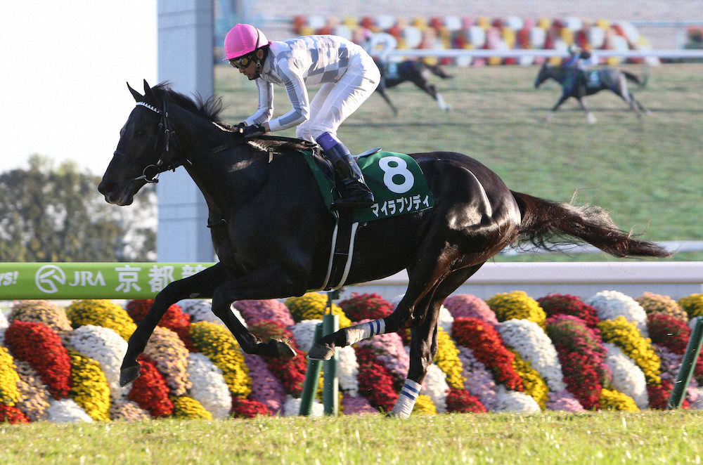 第7回 ラジオNIKKEI杯 京都2歳ステークス