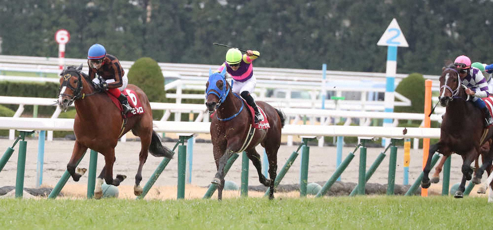 第68回 日経新春杯