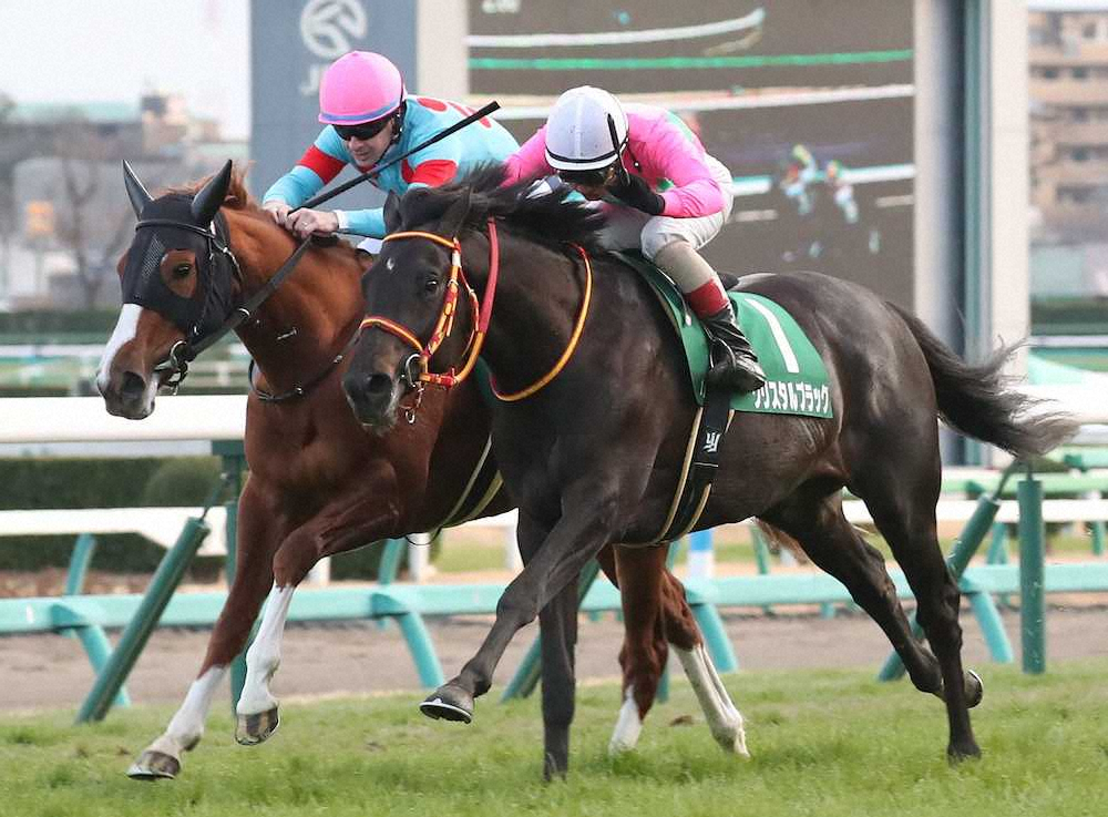 第61回 京成杯