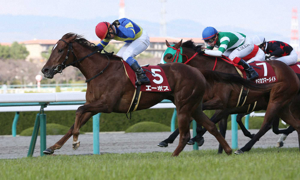 第55回 報知杯フィリーズレビュー