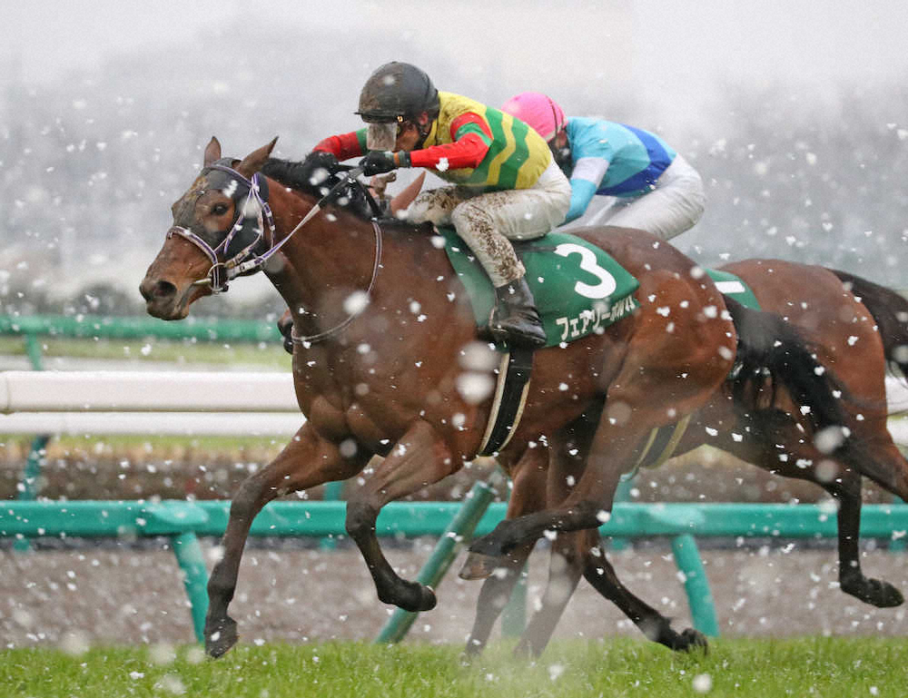 第39回 ローレル競馬場賞 中山牝馬ステークス