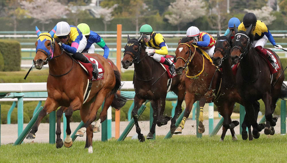 第64回 サンケイスポーツ杯 阪神牝馬ステークス