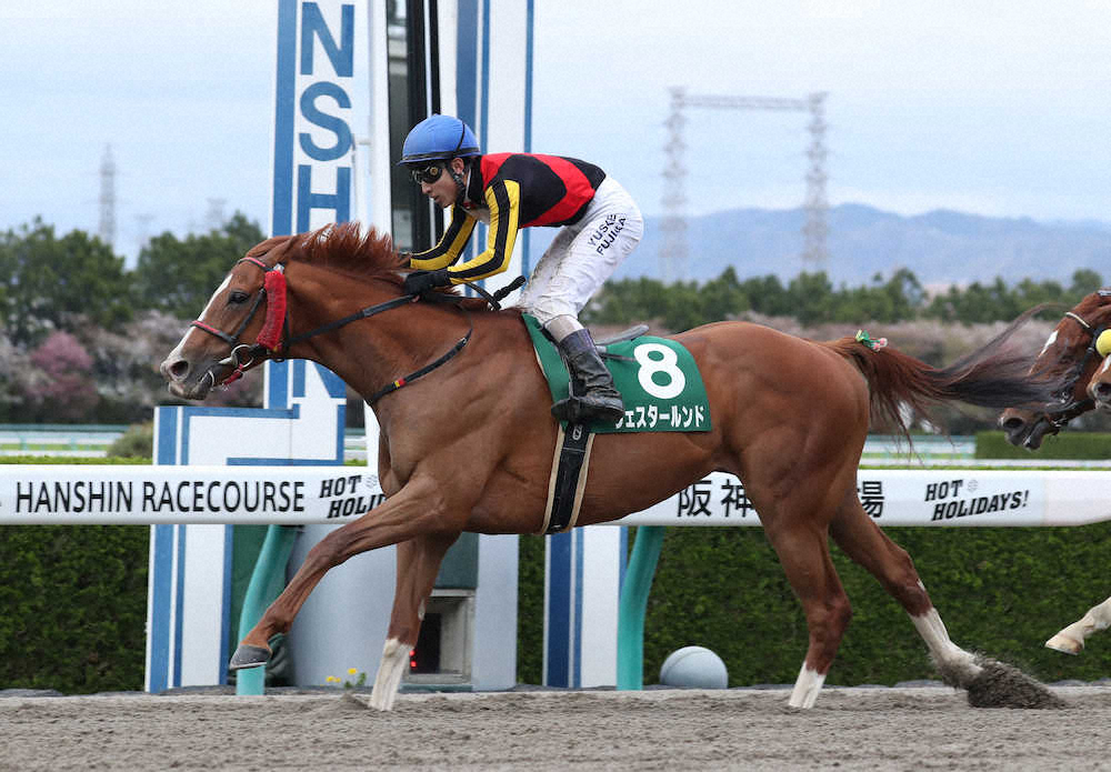 第26回 アンタレスステークス