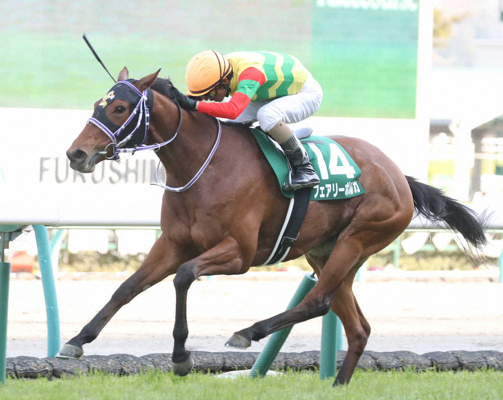 第18回 福島牝馬ステークス