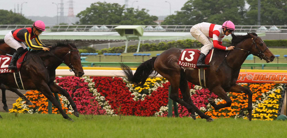 第66回 京王杯スプリングカップ