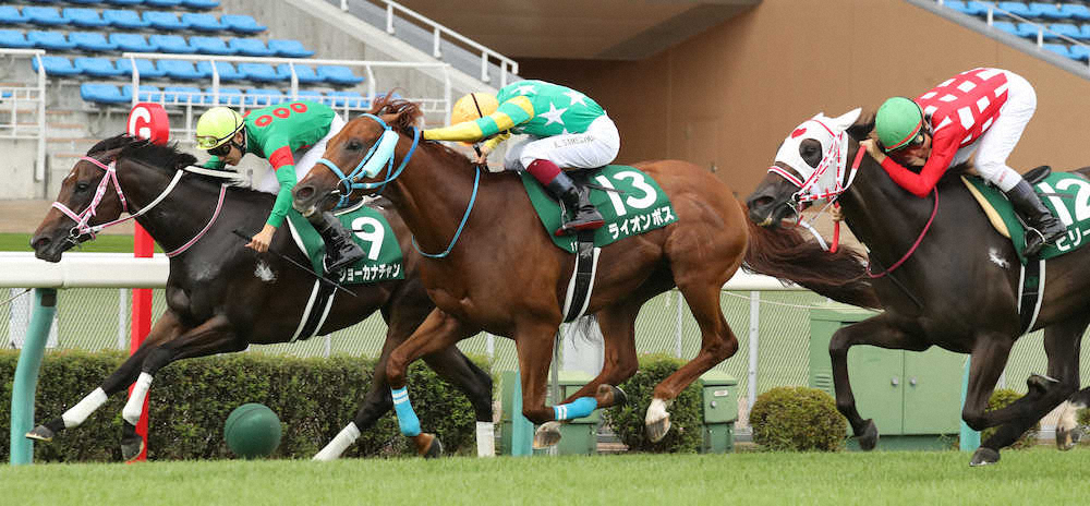第21回 アイビスサマーダッシュ