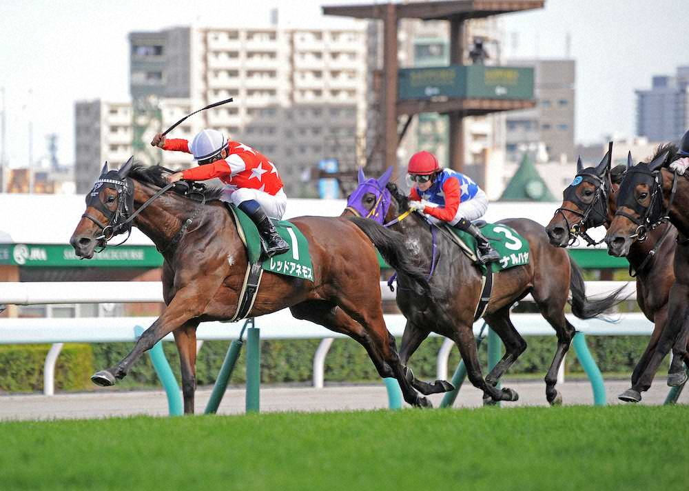第69回 北海道新聞杯 クイーンステークス