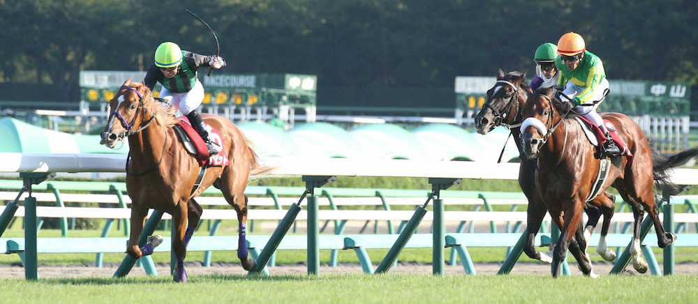 第75回 朝日杯セントライト記念