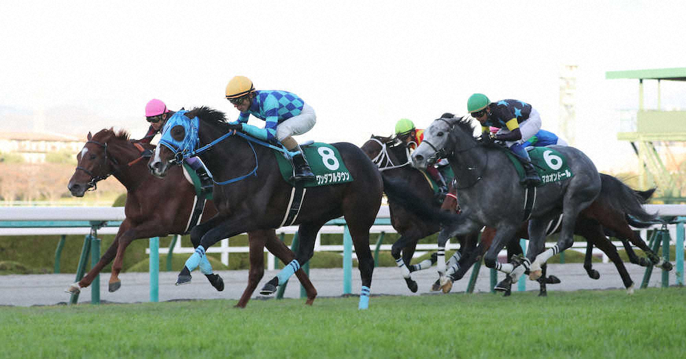 第8回 ラジオNIKKEI杯 京都2歳ステークス