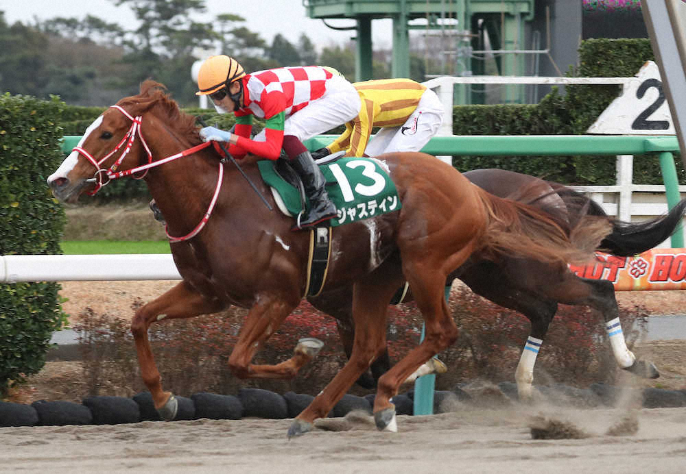 第14回 カペラステークス