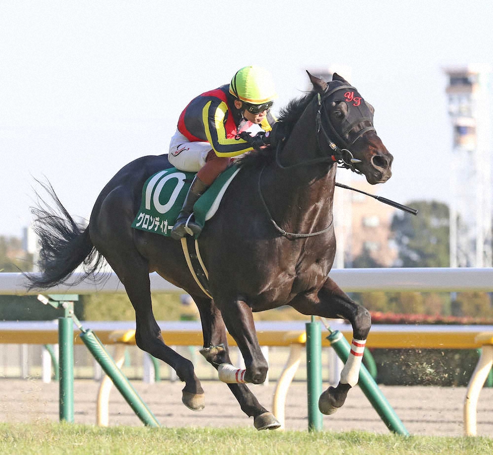 特集 22年02月19日 東京11r 第72回ダイヤモンドｓ スポニチ競馬web