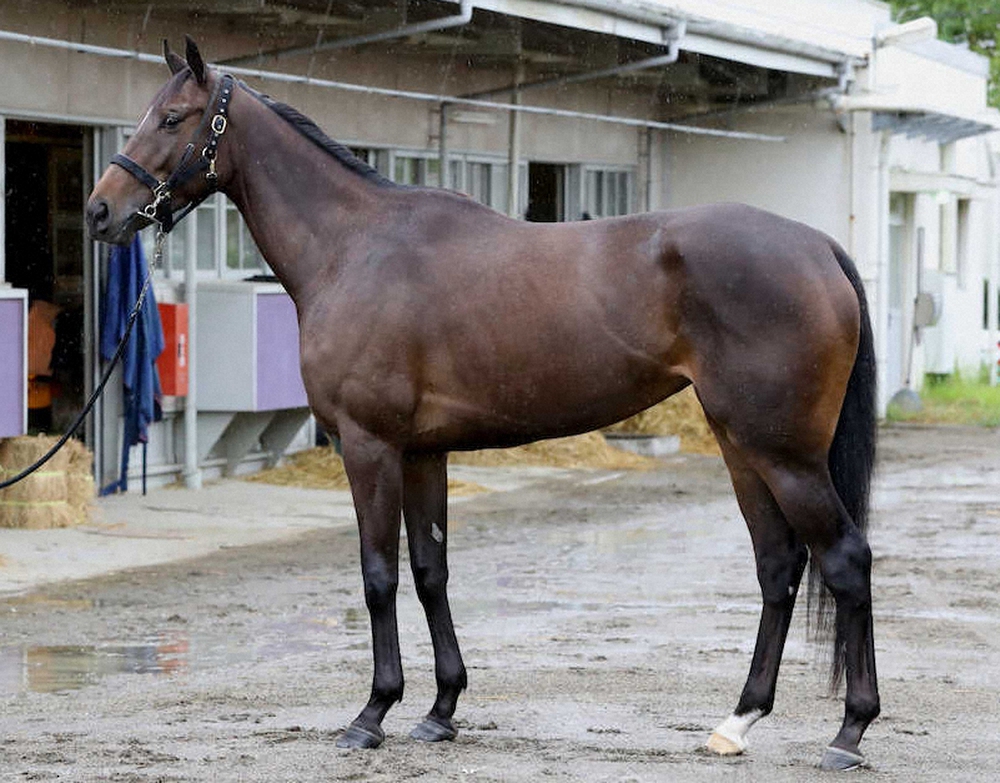 スターズオンアース