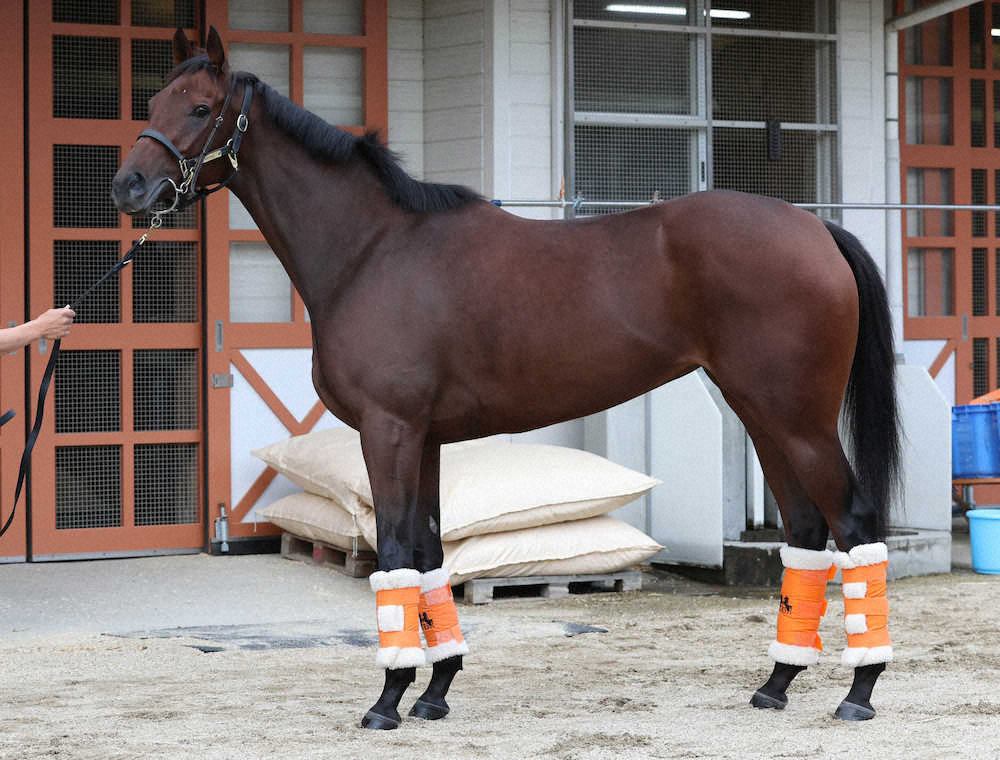 スタニングローズ