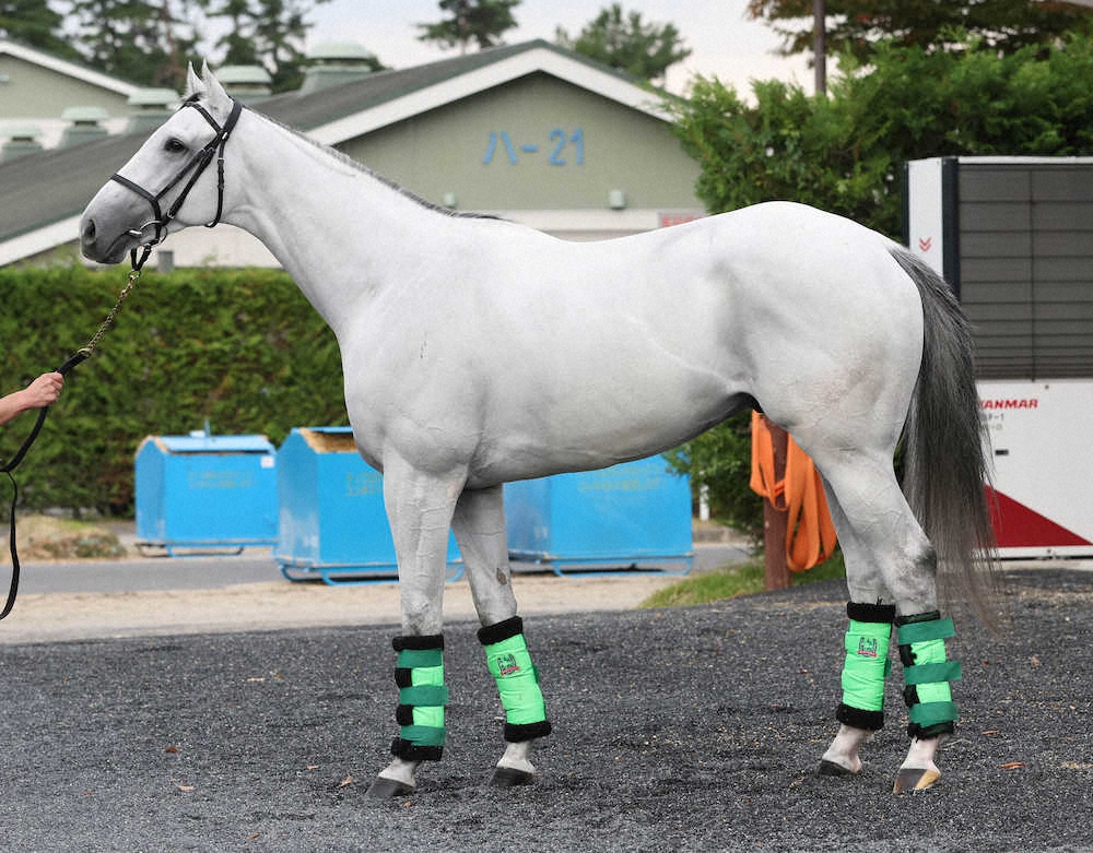 ガイアフォース