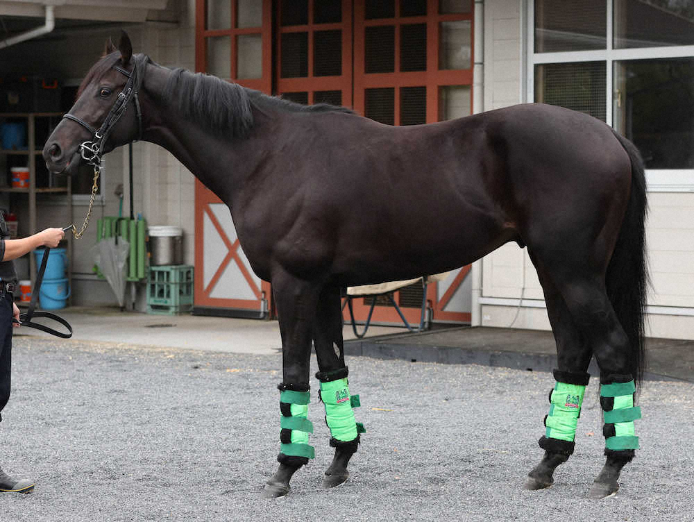 ジャスティンパレス