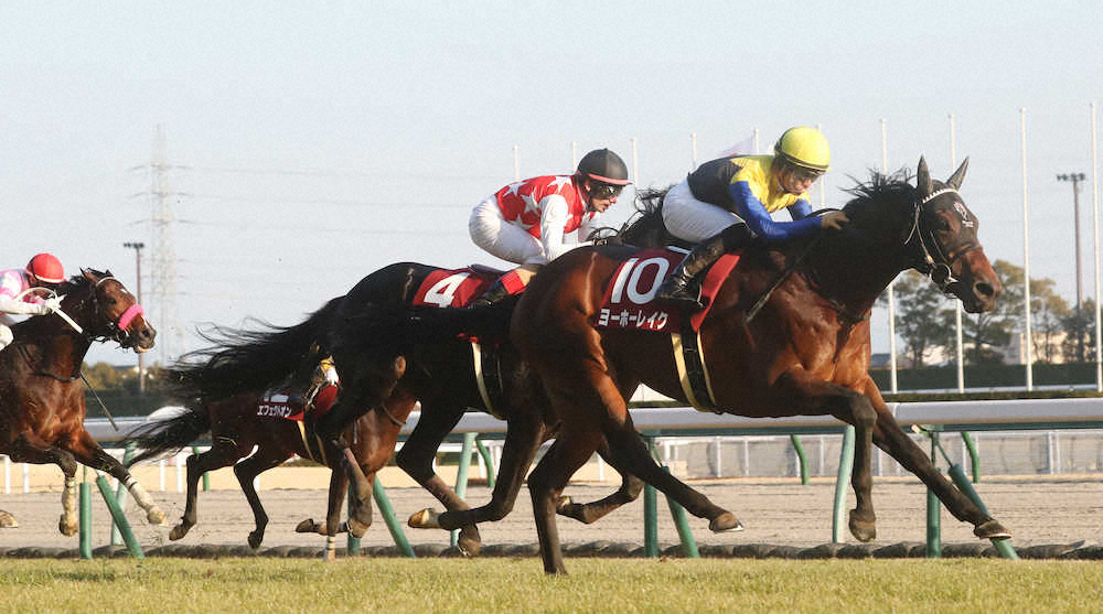 第70回 日経新春杯