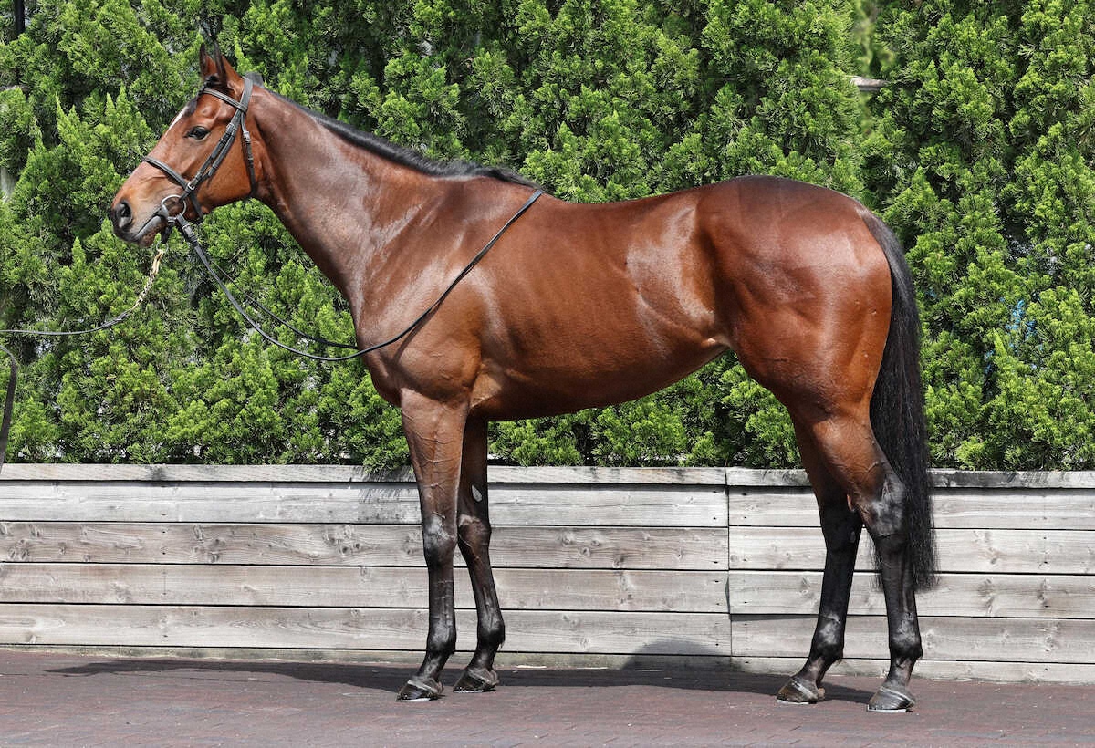 リバティアイランド