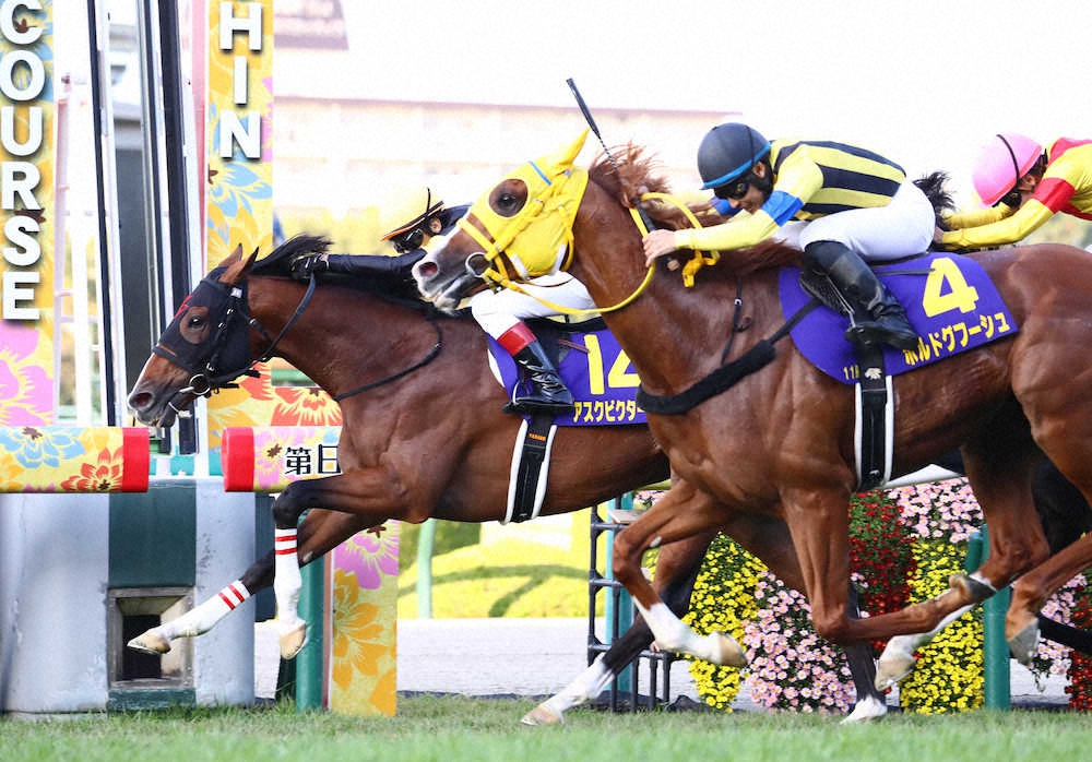 特集（2023年10月22日 京都11R 第84回菊花賞）- スポニチ競馬Web