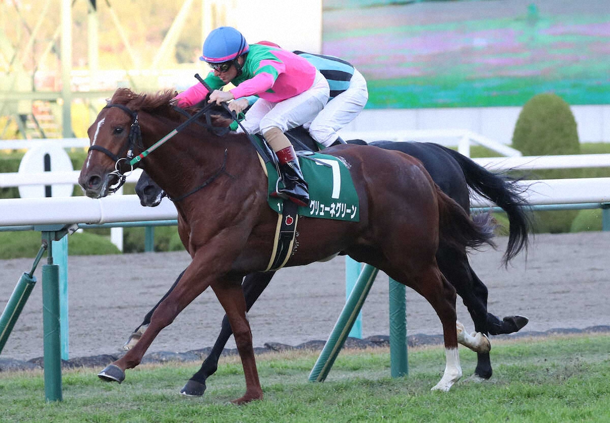 第10回 ラジオNIKKEI杯 京都2歳ステークス