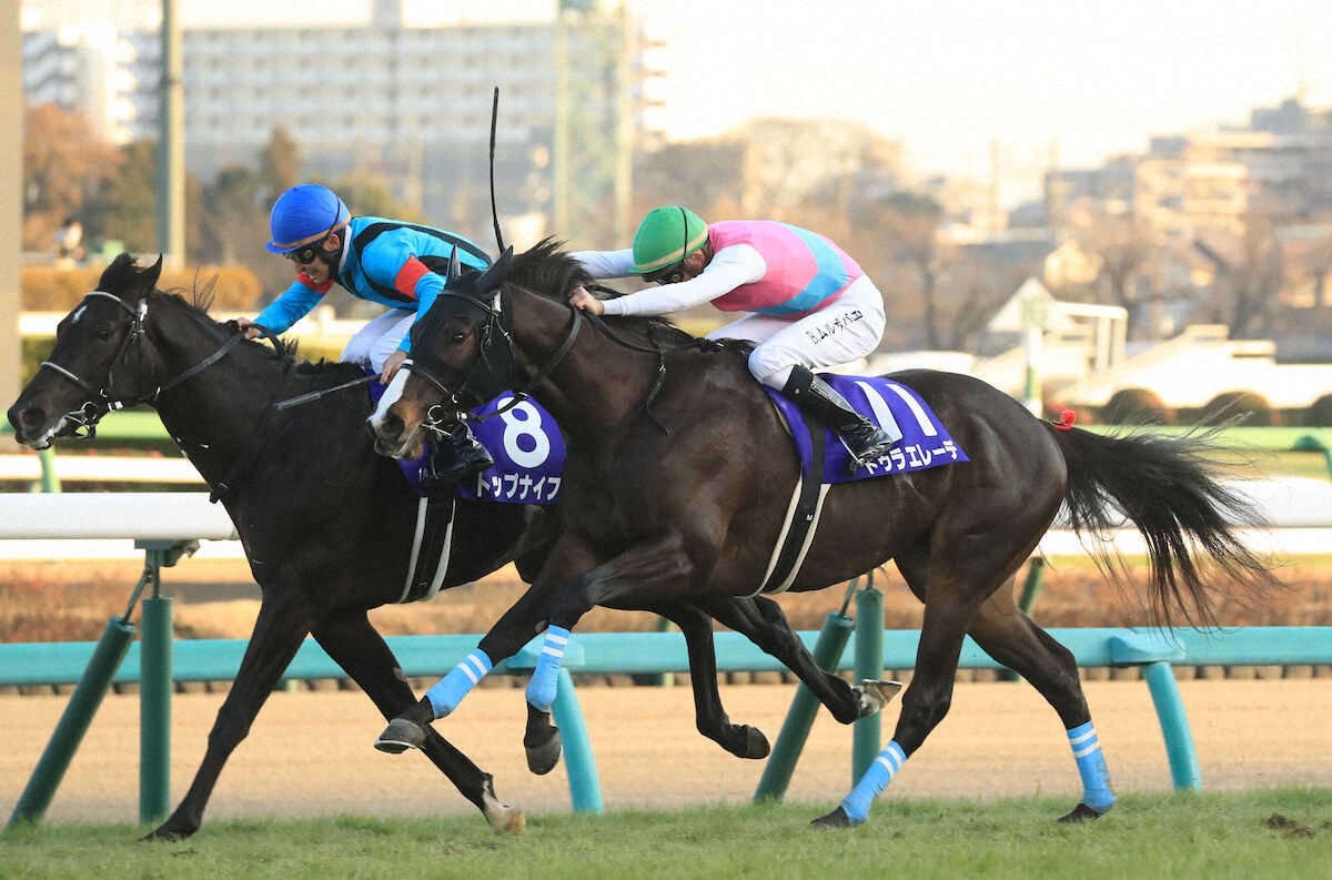 第39回 ホープフルステークス