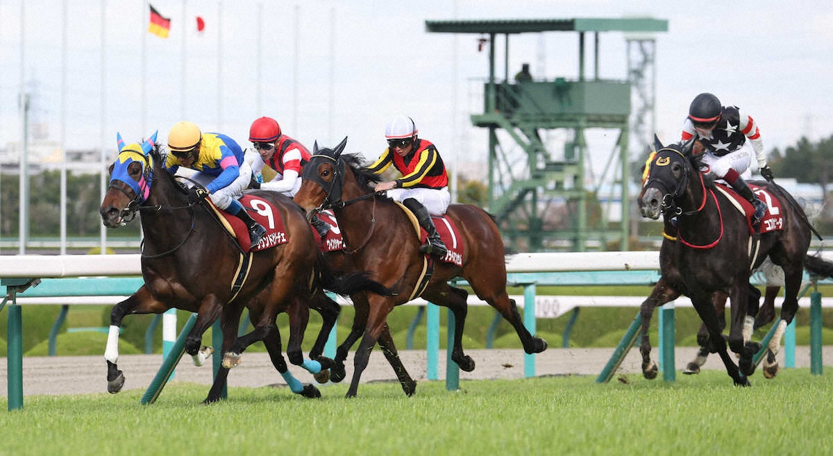 第67回 サンケイスポーツ杯 阪神牝馬ステークス