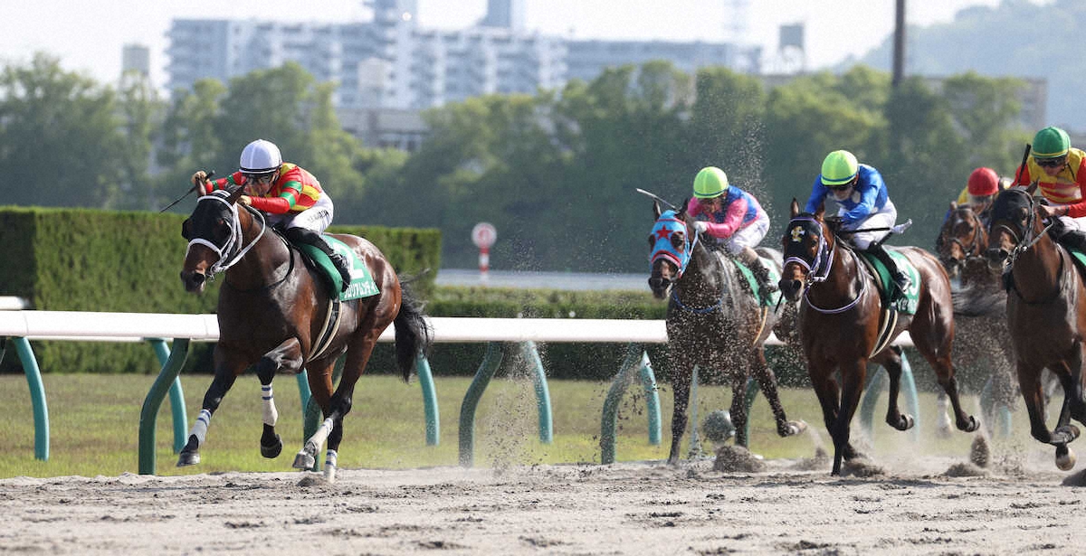 第31回 平安ステークス