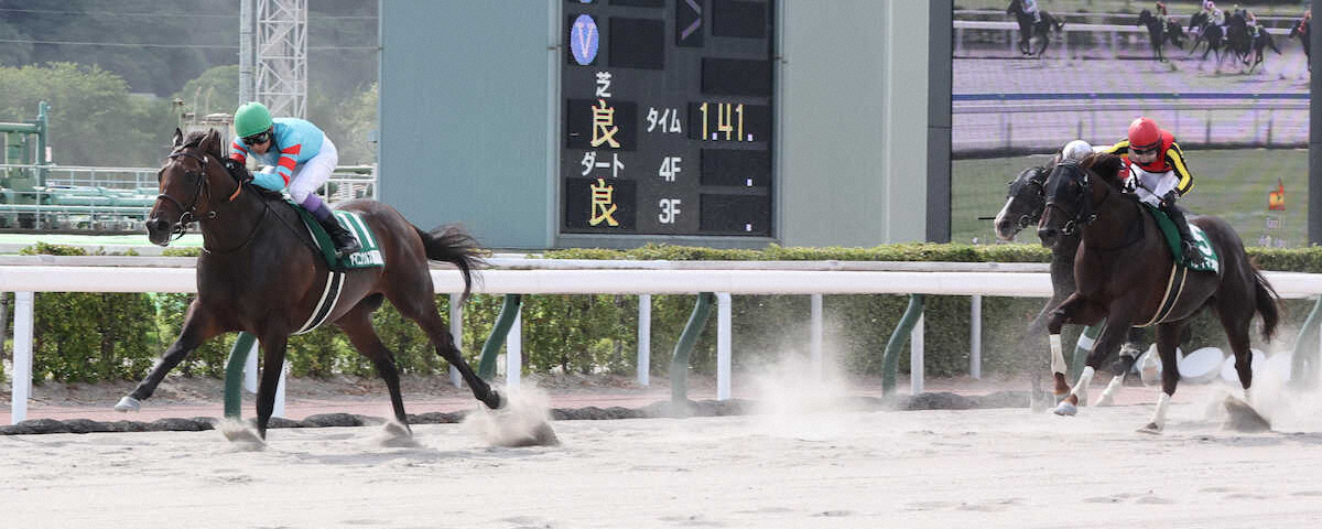 第30回 プロキオンステークス