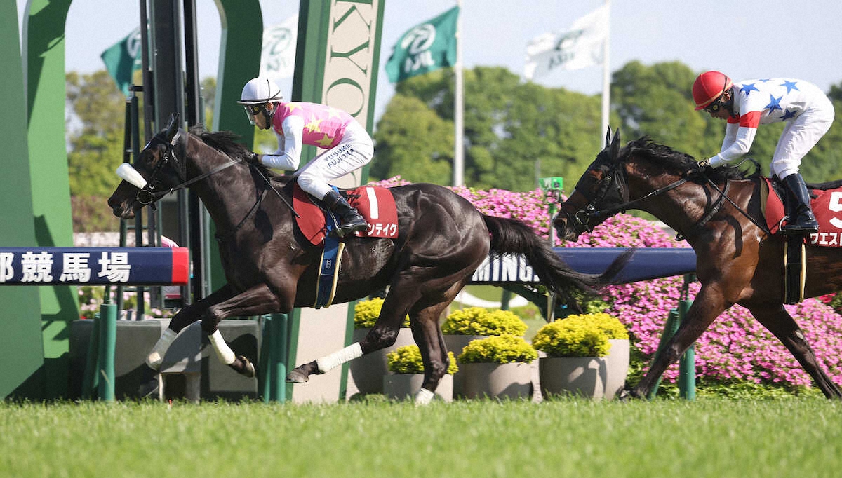 第73回 京都新聞杯