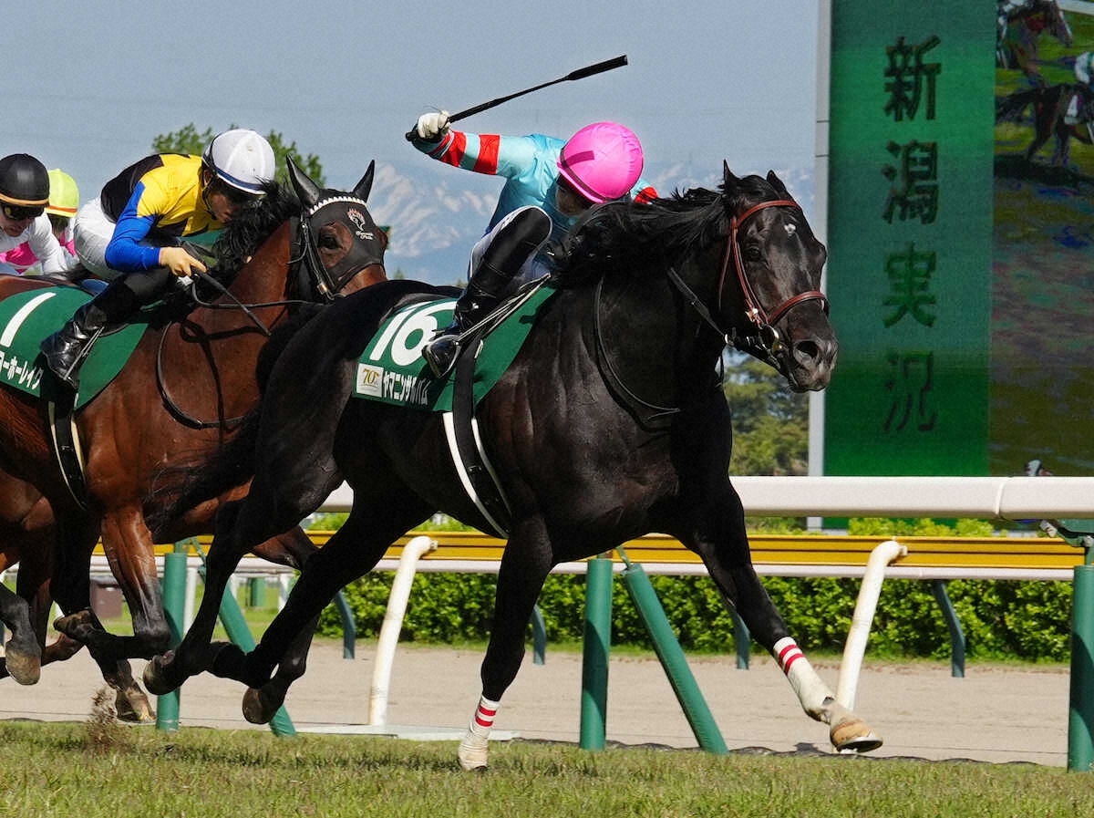 第47回 新潟大賞典