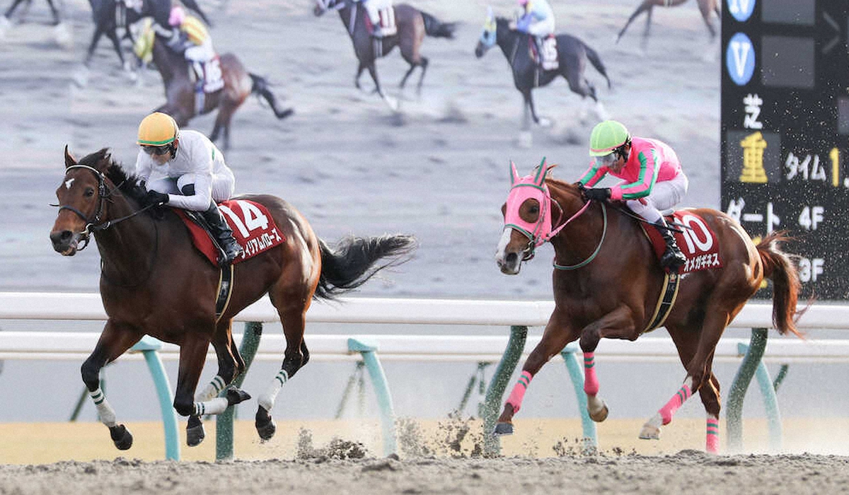 第42回 東海ステークス
