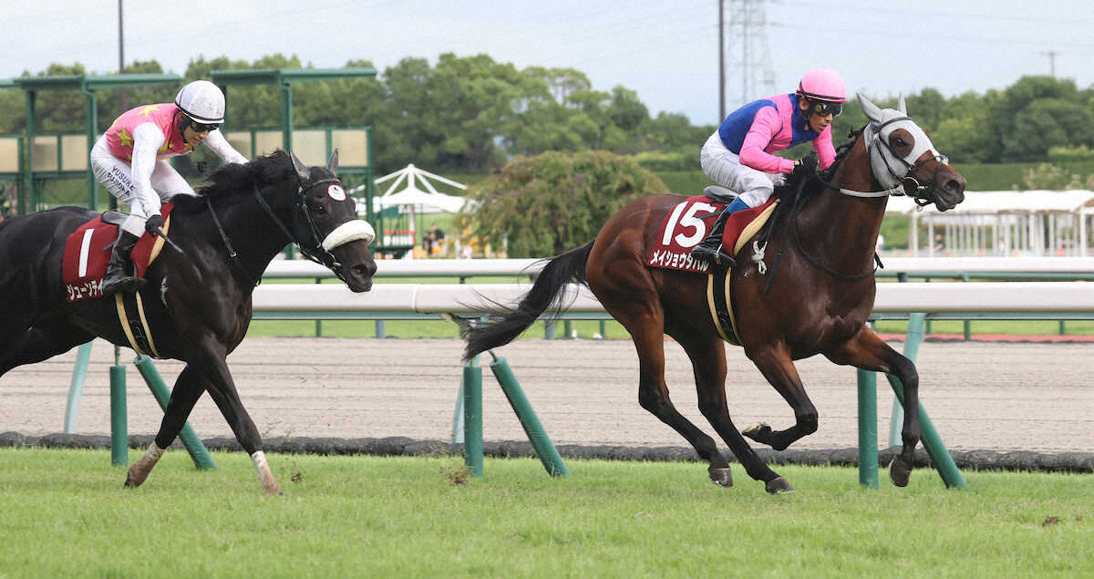 第73回 神戸新聞杯