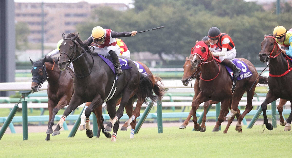第59回 スプリンターズステークス