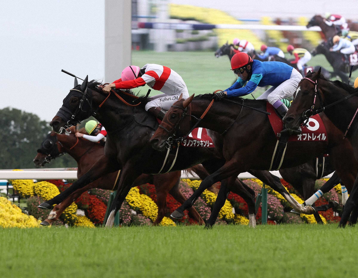 第68回 MBS賞 スワンステークス