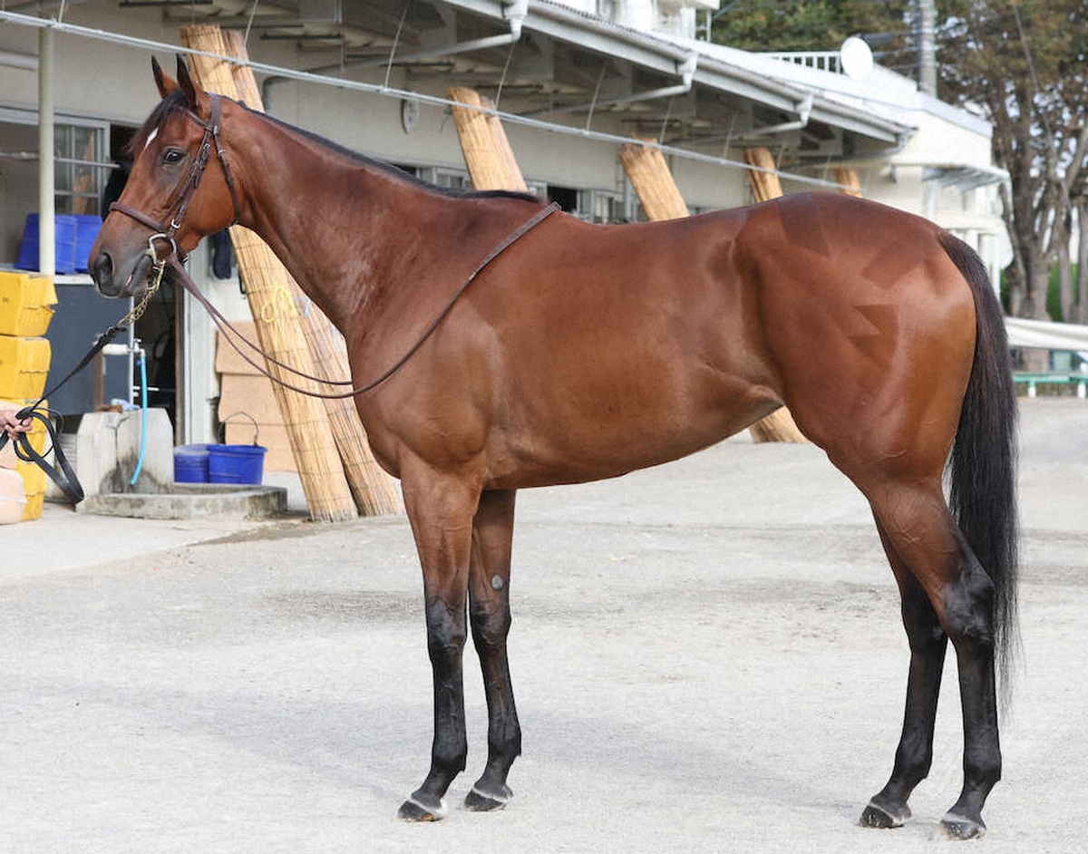 エンブロイダリー