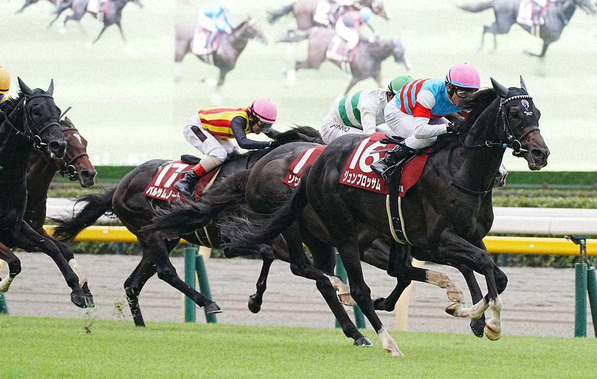 第28回 富士ステークス