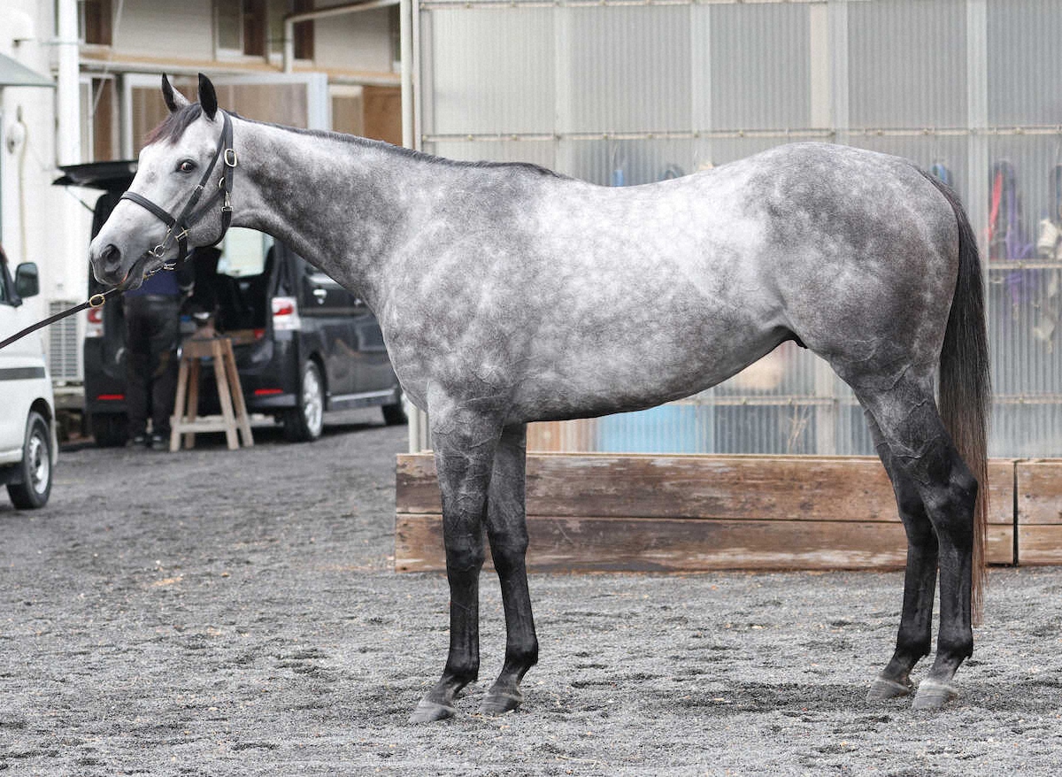 ヤマニンブークリエ