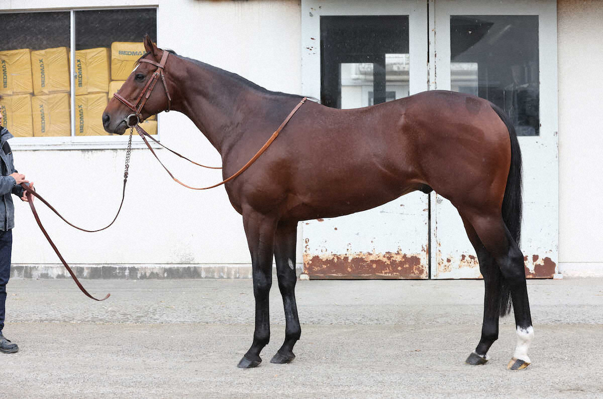 タスティエーラ