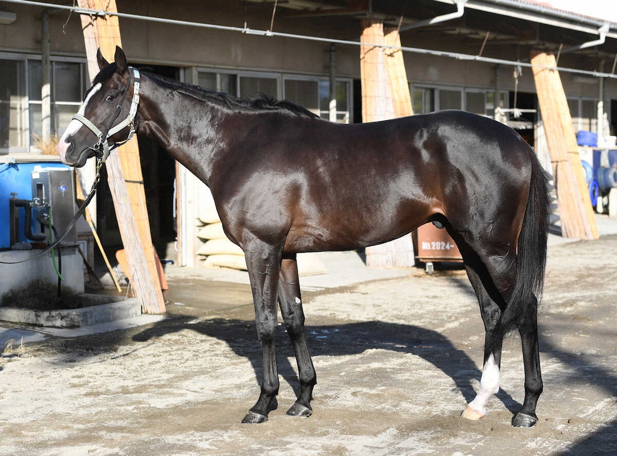 マスカレードボール