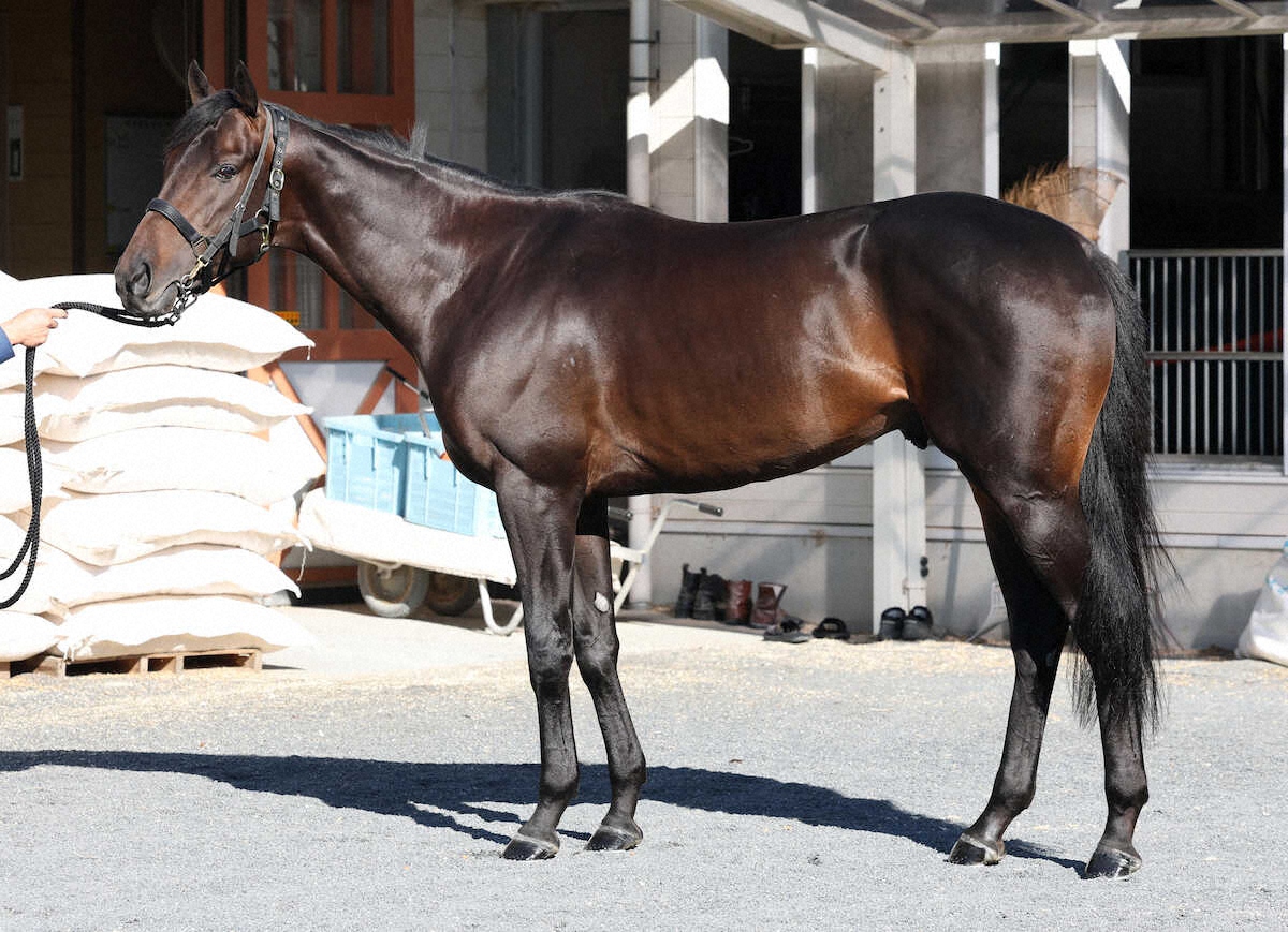 ミュージアムマイル