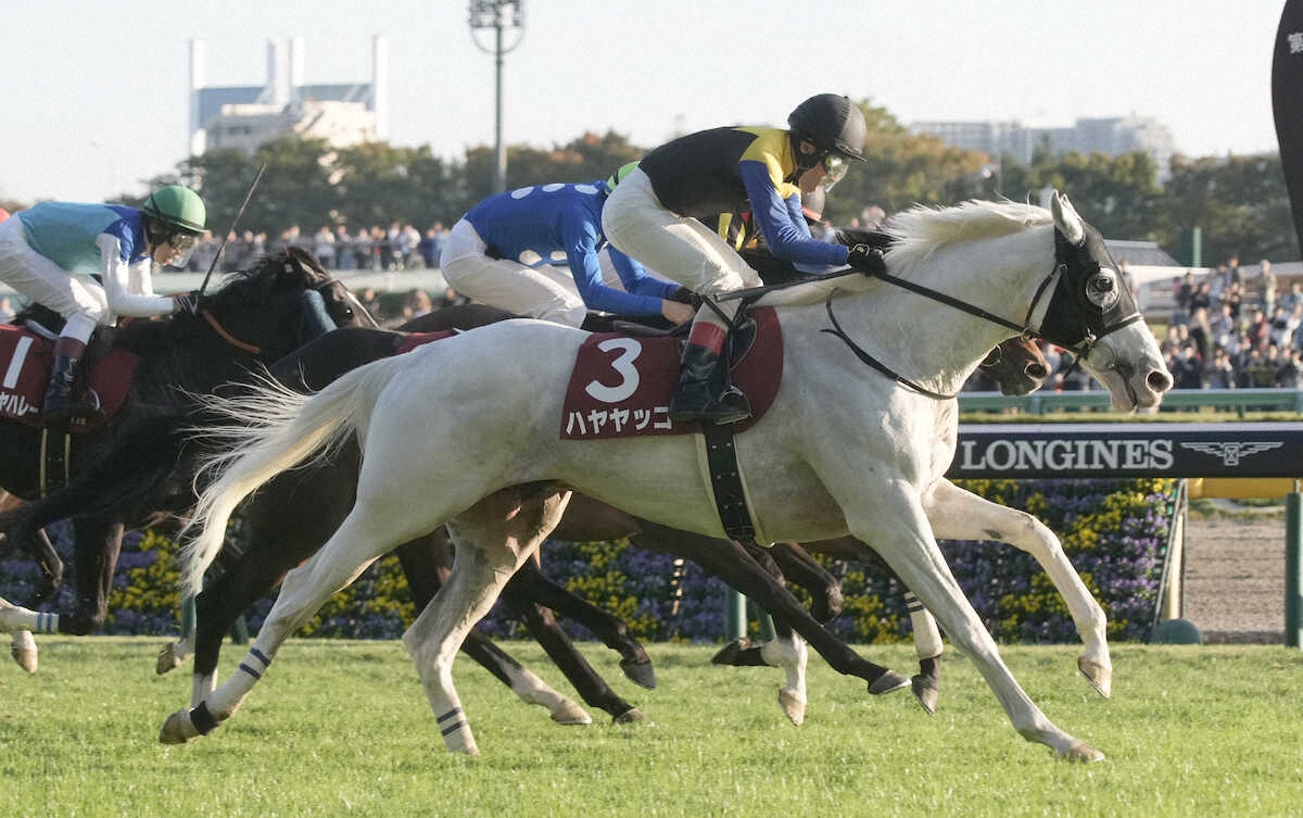 第63回 アルゼンチン共和国杯