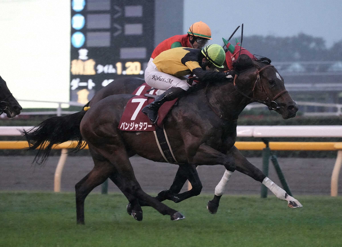 第61回 京王杯2歳ステークス