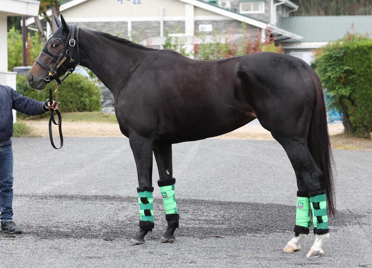 エリカエクスプレス