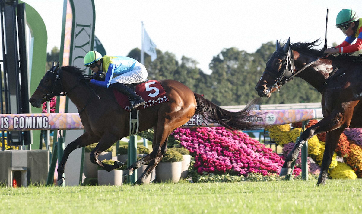 第60回 デイリー杯2歳ステークス