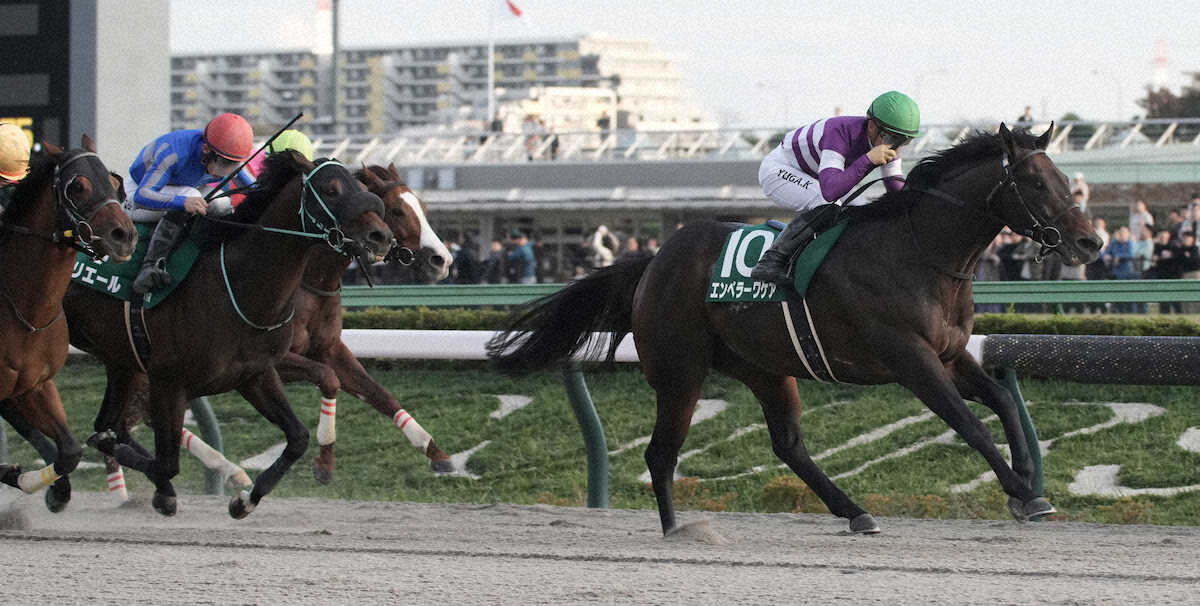 第30回 武蔵野ステークス