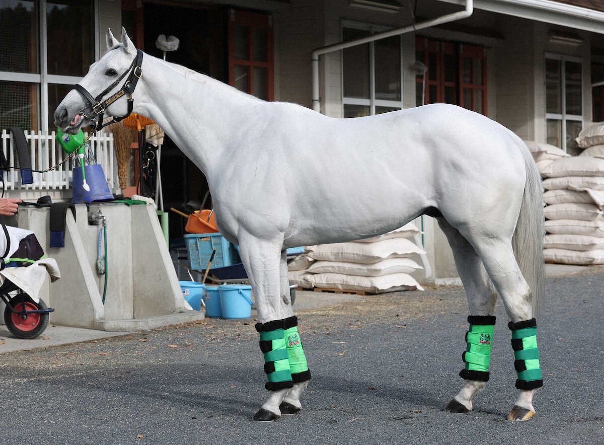 ガイアフォース