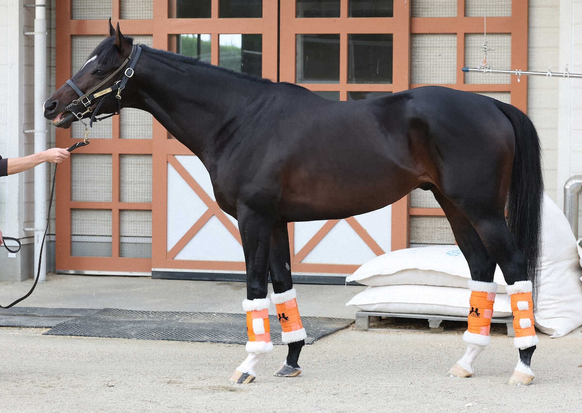 ジャンタルマンタル